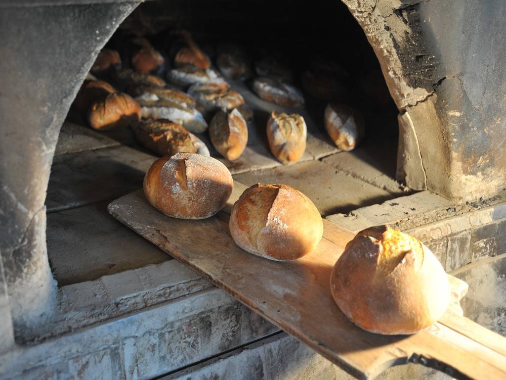 FETE DU PAIN ET DES CEREALES