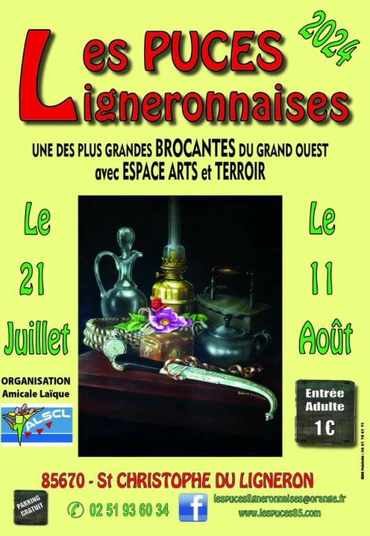 Les puces ligneronnaises-brocante