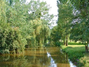 PECHE PLAN D EAU DE TENNIE On the water France Atlantic Loire Valley