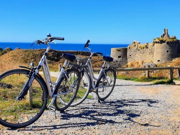 Vendée des Iles