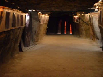 La cave vivante du champignon artisan en Anjou
