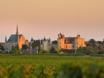 CHATEAU DE MONTREUIL BELLAY Castles France Atlantic Loire Valley