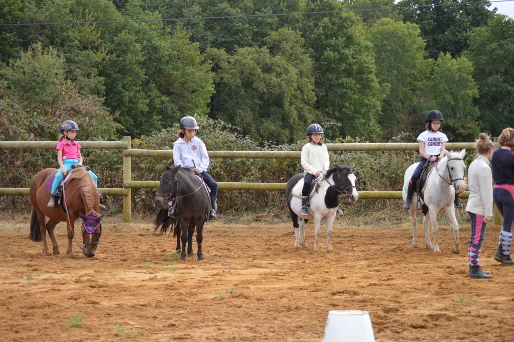 CENTRE EQUESTRE L'ETRIER 37: All about horses France, Atlantic Loire Valley