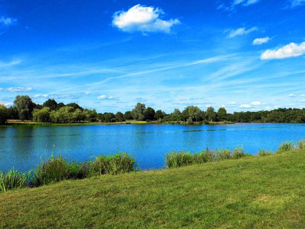 ETANG DE BOUT DE BOIS: Nature France, Atlantic Loire Valley