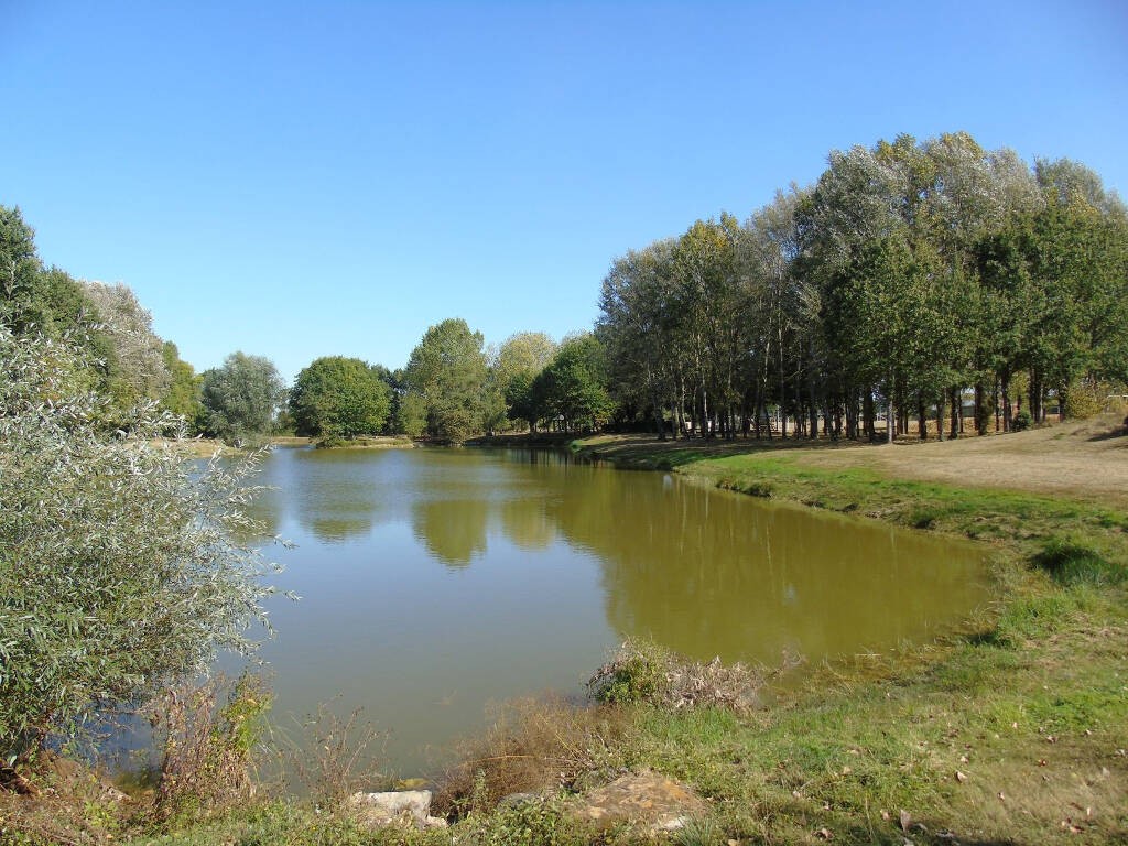 Etang Des Bambous - Vritz: Nature France, Atlantic Loire Valley