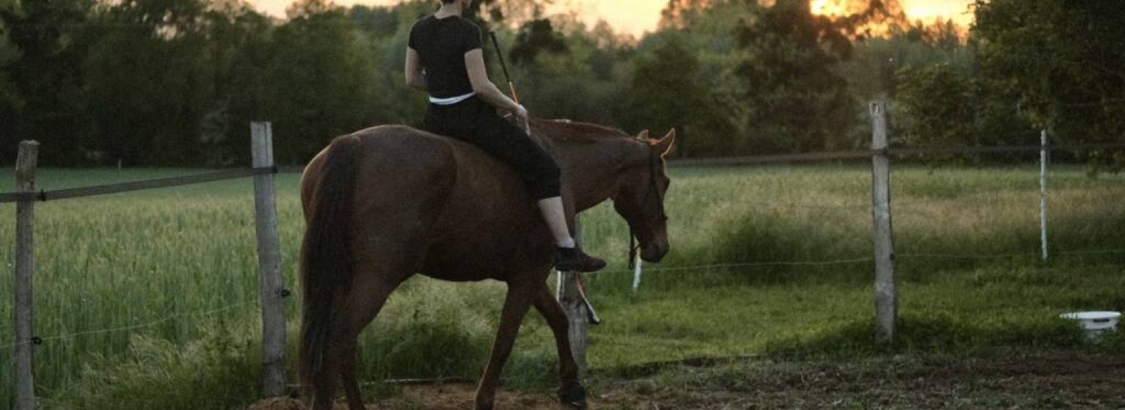 COURS & STAGES D'EQUITATION ETHOLOGIQUE AVEC FANNY AUGEREAU