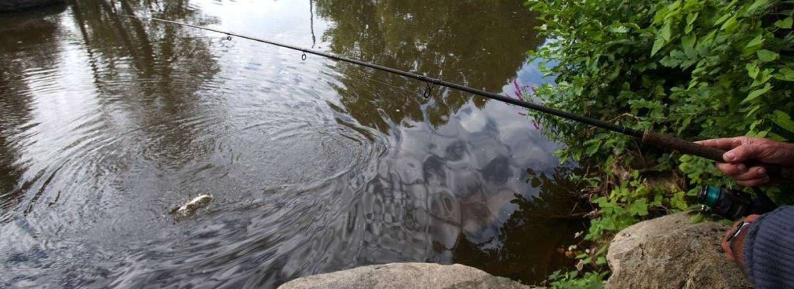 PECHE AU LAC DE HAUTE MAYENNE