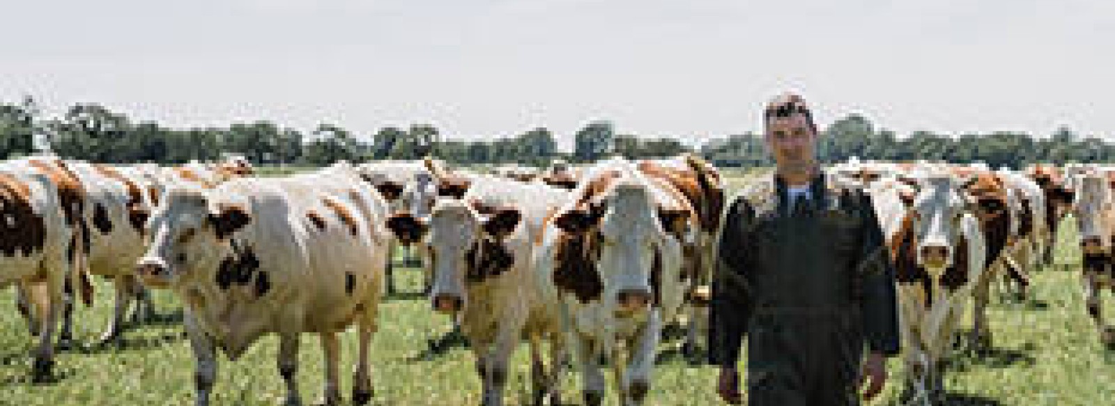 LA FERME DU TERRIER