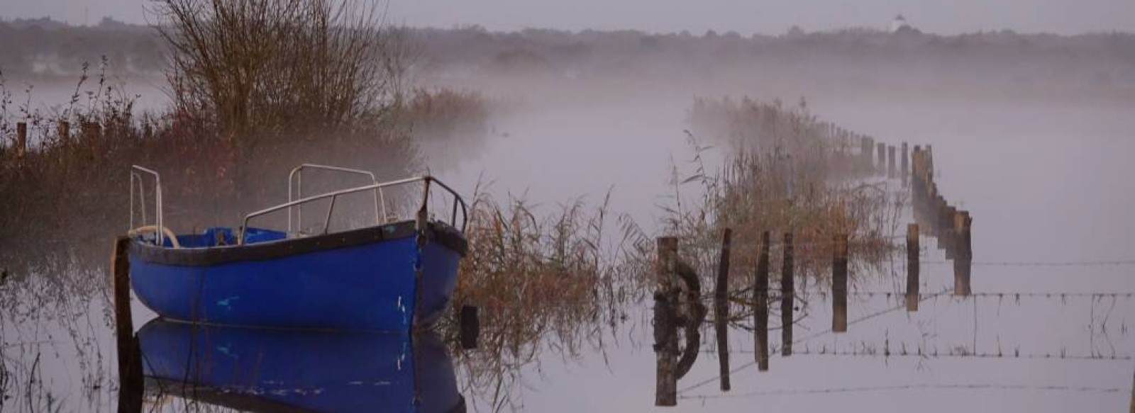 Photographe du Pays de Retz - Celine Gracia