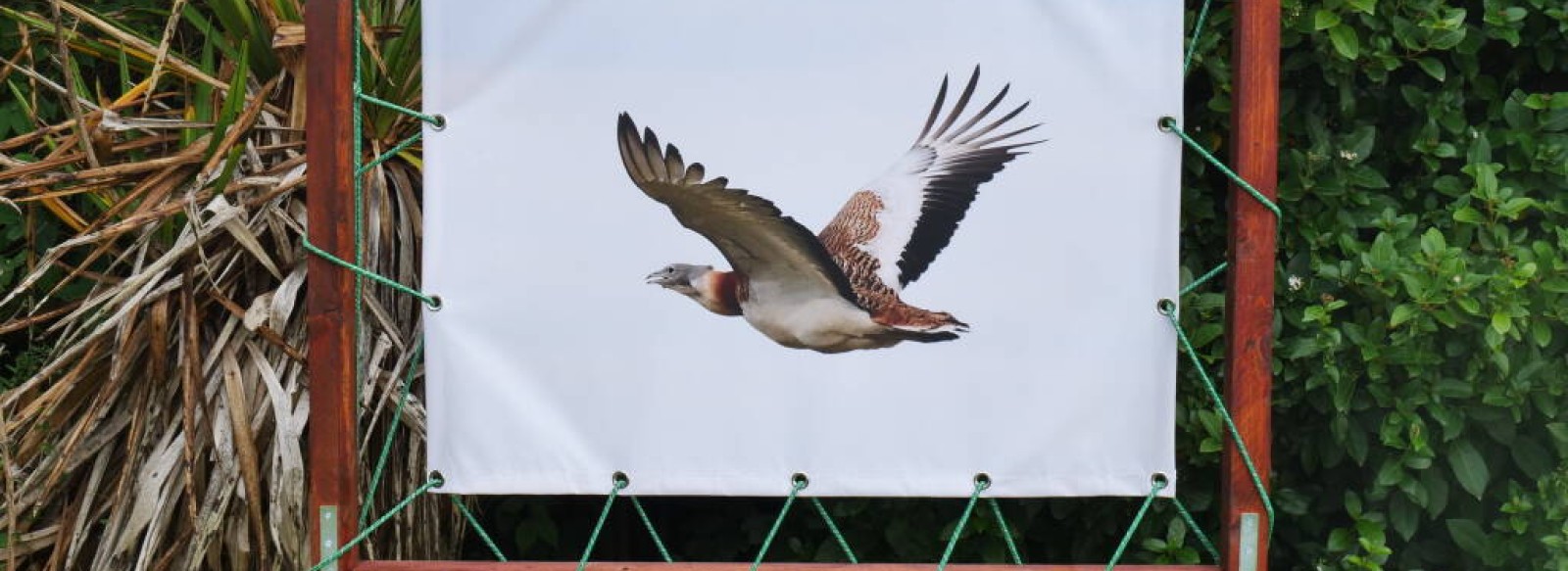 Exposition champetre sur les oiseaux : "battements d'ailes"