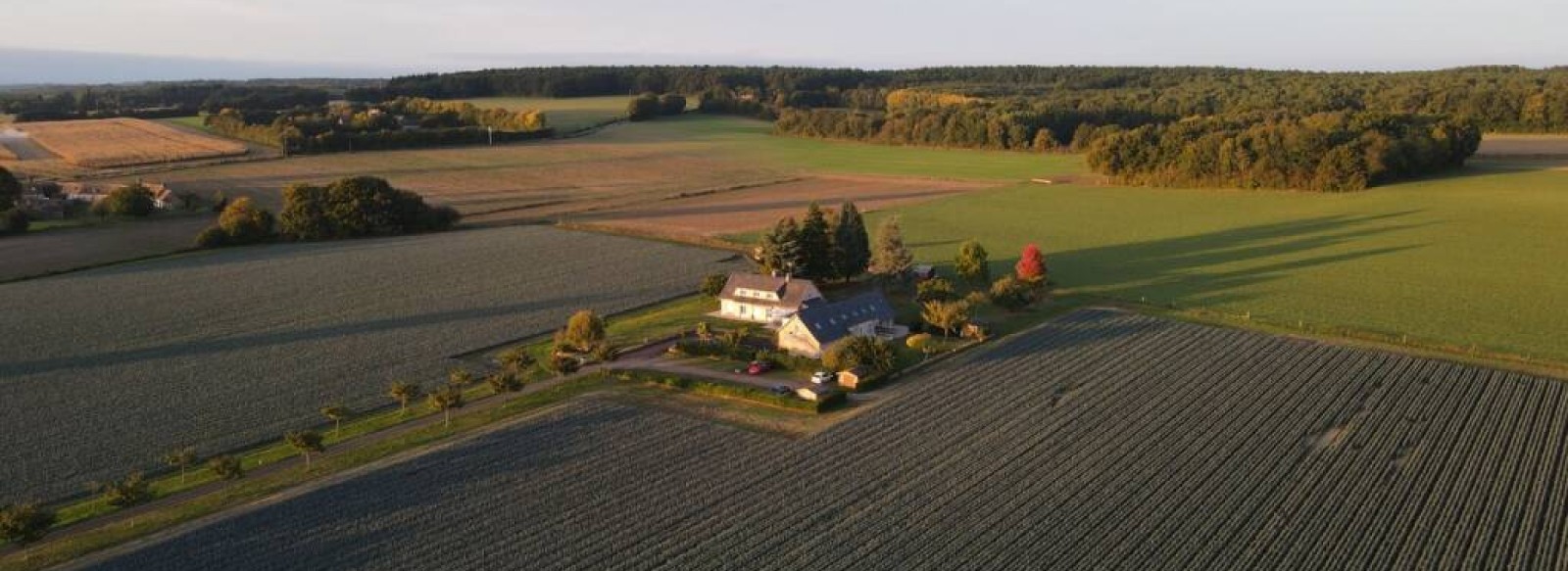 La Vallee de la Hune - Le Poirier