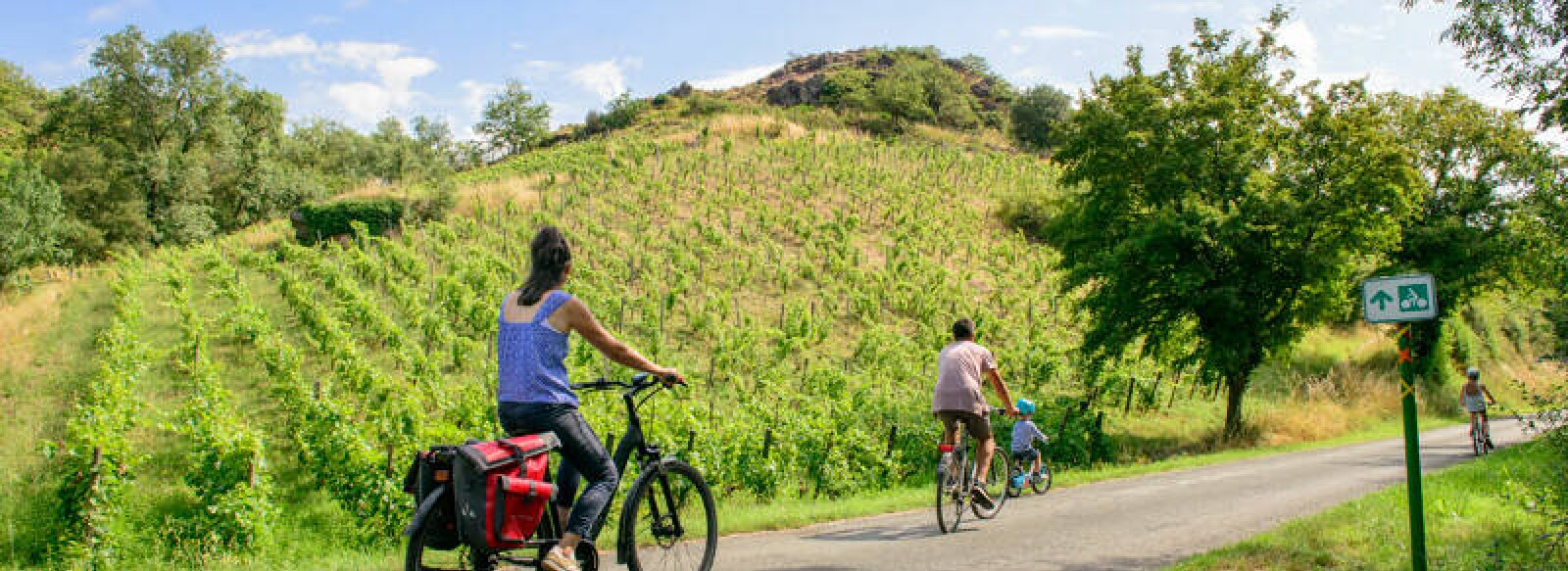 Boucle velo Anjou vignoble et villages