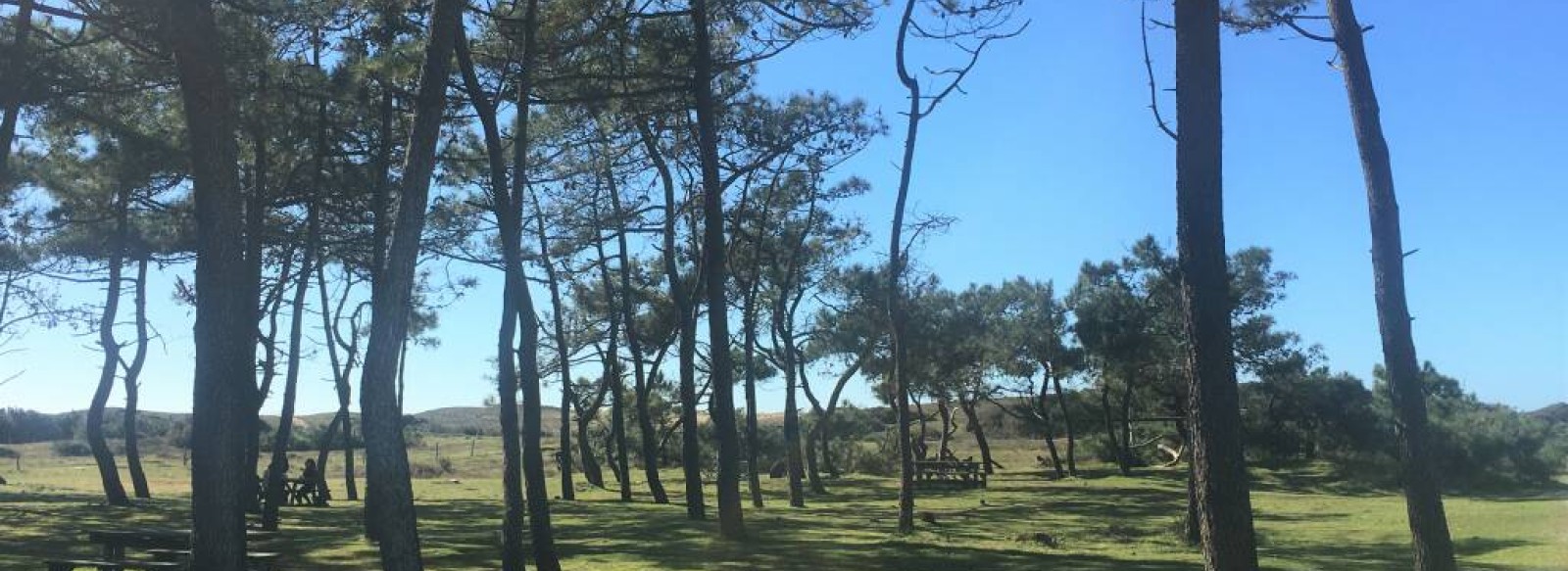 AIRE DE PIQUE-NIQUE DES DUNES