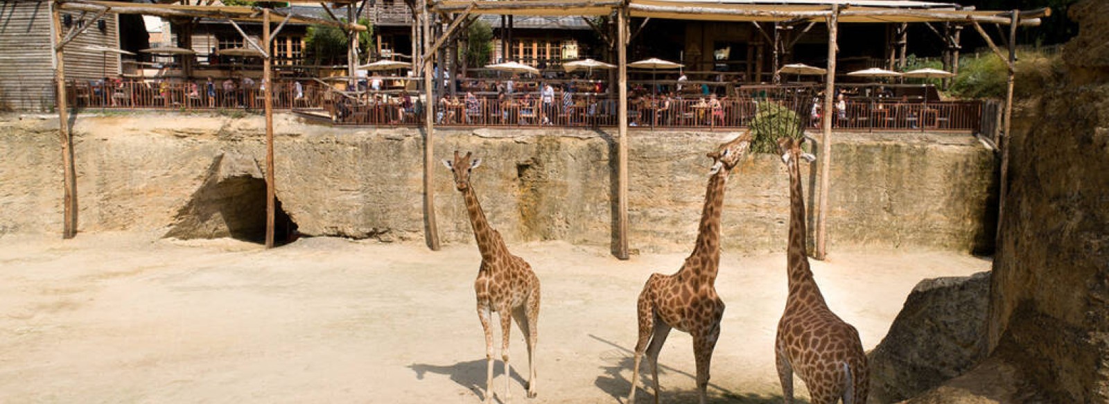 Restaurant Le Camp des Girafes