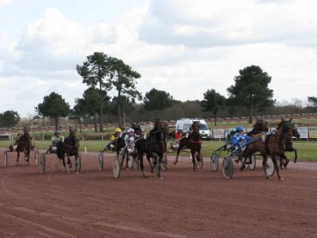 Hippodrome De Pont Chateau All About Horses France Atlantic Loire Valley