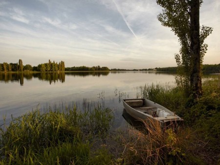 LAC DE MOULIN PAPON: Nature France, Atlantic Loire Valley